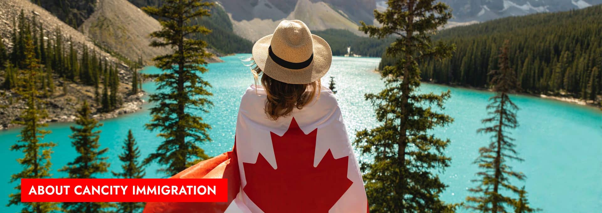 about-cancity-immigration-services